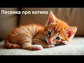 Песня про котика На стихи Сергея Шорникова