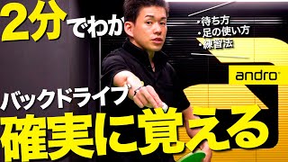 【2分でわかる｜初級者編】バックドライブ！確実に覚える練習法【質問コーナー｜勝てる卓球#33】