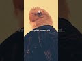 motivation video #delhi