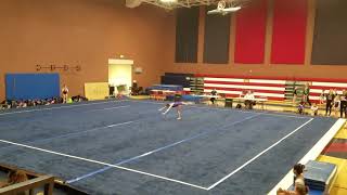 Level 4 floor routine 2018