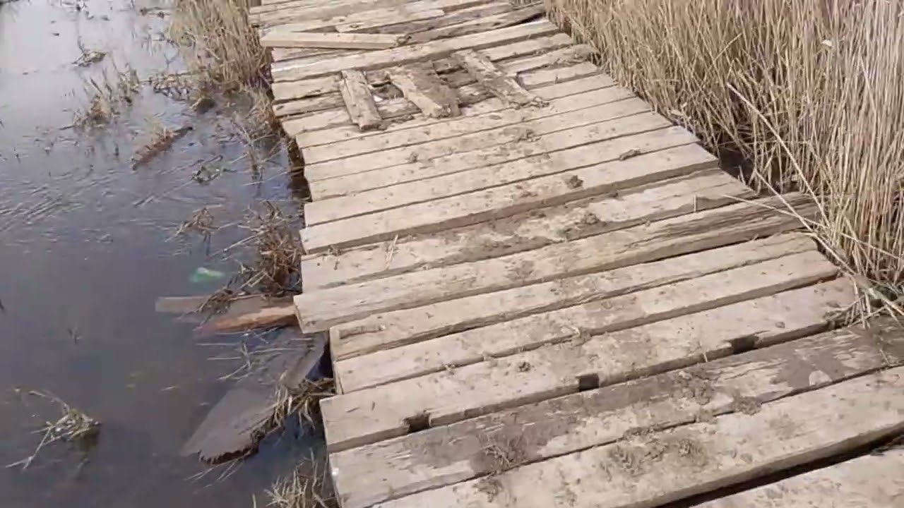 Река Кумшак возле посёлка Дубравный. Половодье. 22. 2. 26.