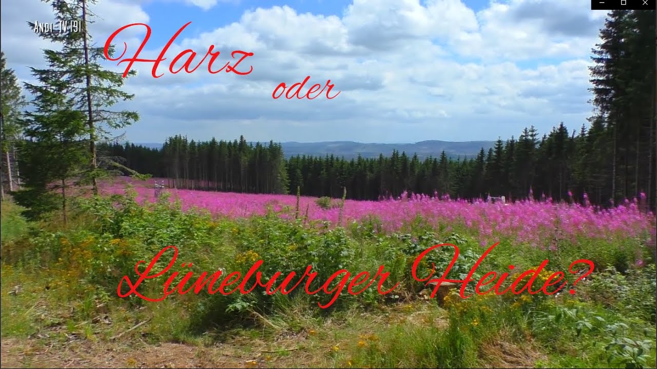 Harzwanderung: Vom Wurmberg nach Elend (Andi-TV 191)