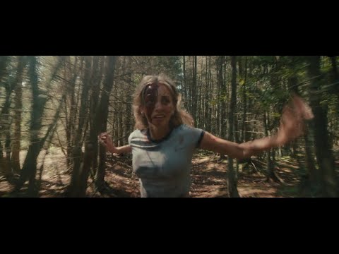 Related Embedded Video Item Thumbnail