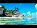Throw stress away with relaxing piano music  beautiful nature  sleep music  stress relief music