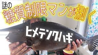 糖質制限マンがヒメテングハギを捌く！[ヒメテングハギ調理　前編]