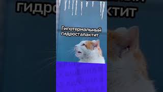 Поздравляю с Днём мартовский котов!