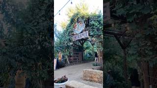 LIVE OAK CANYON PUMPKIN FARM | YUCAIPA, CA | PUMPKIN PATCH