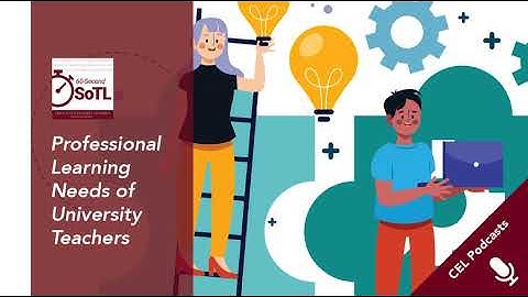 Professional Learning Needs of University Teachers