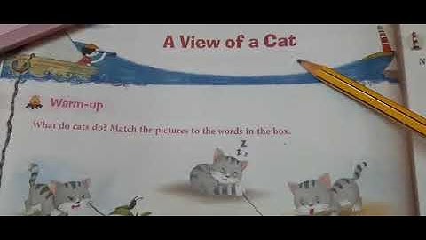 Cls 3 warmup poem A view of a cat