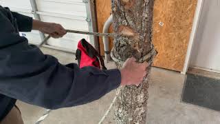 How to Tie a Girth Hitch by Rily Passini 116 views 3 years ago 46 seconds