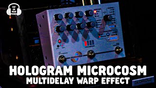 HOLOGRAM MICROCOSM MULTIDELAY WARP EFFECT