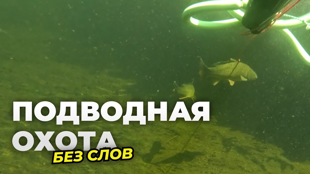 Подводная охота на реке Или. ПОЛНЫЙ РЕЛАКС без монтажа и комментариев