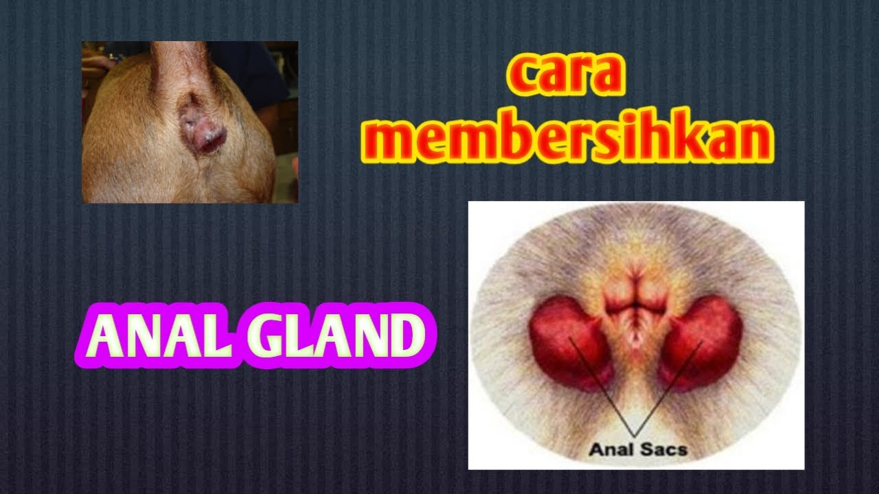 Guruh seks porno sahna ortida Erogen jinsiy doglar