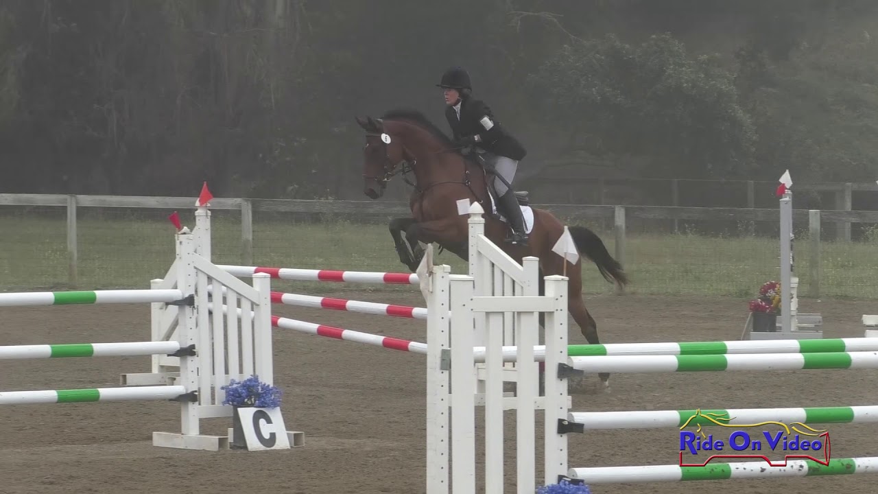 horseshoe bend 006S Cricket Wood on Illuminare Open Preliminary Show Jumping Shepherd Ranch June 2019