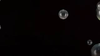 Seveceksen Sev Yeter