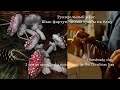 Рукодельный влог. Шью фартук, делаю грибы на ёлку| Handmade vlog.