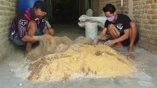 Cara Membuat Kosentrat Sapi Super