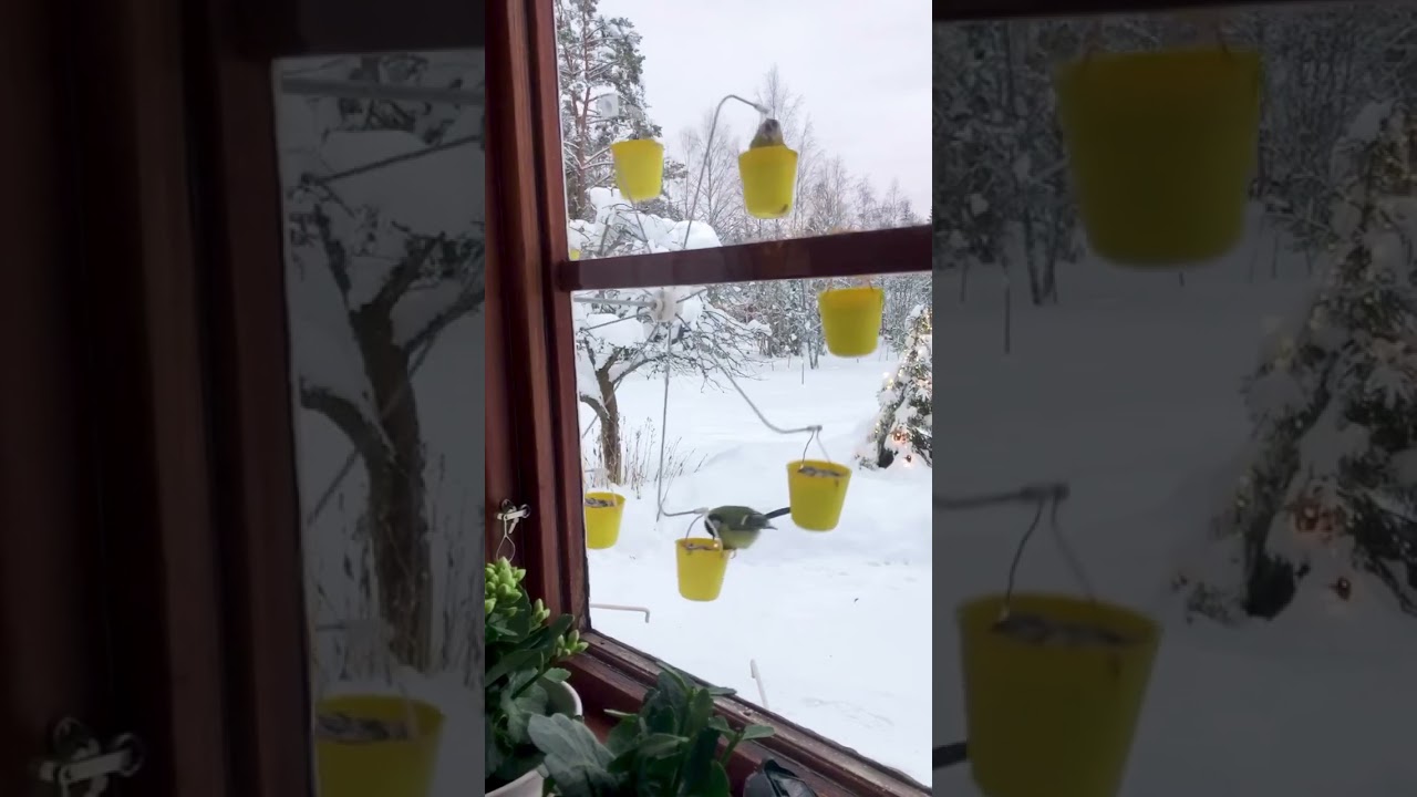 Bird Ferris Wheel | CreatureCops