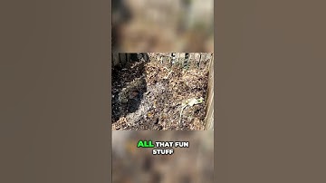 Fixing Overly Wet Compost: Revive Your Pile!