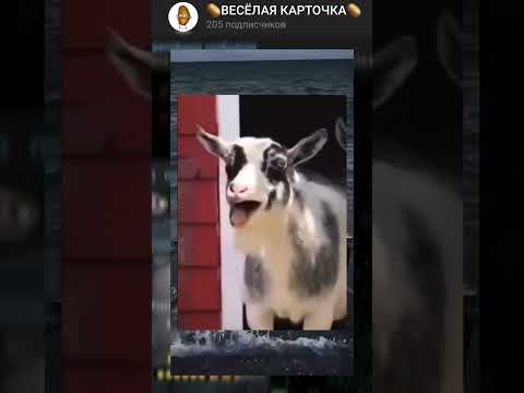 ПРОСЫПАЕТСЯ В ШКОЛУ ПОРА😂 #приколы #смех #рекомендации #тикток #мем #мемы
