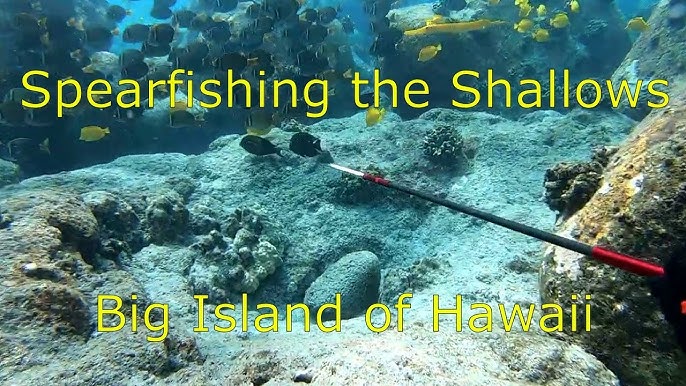 MUST KNOW Hawaii Spearfishing Tips for 3-Prong Polespear(Beginner  Friendly) 