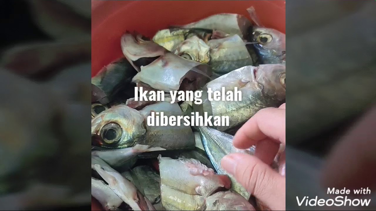 Resepi Orang Bujang - Ikan Sup Terjun - YouTube