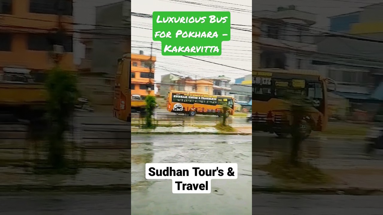 pokhara to kakarvitta tourist bus