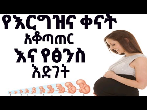 ቪዲዮ: የ 7 ኢንች ክብ ዲያሜትር ስንት ነው?