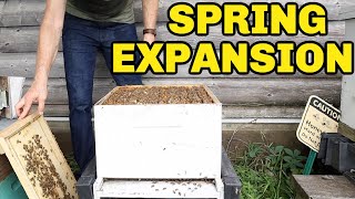 Beekeeping: How To Expand & Grow Your Bees In The Spring