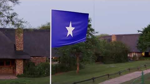 Blender 2.9 Somalia flag animation