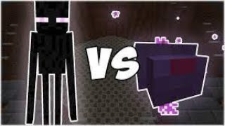 ENDERMAN IQ VS ENDERMITE IQ (IQ test)