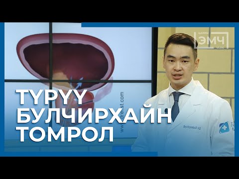 Видео: Нохойны түрүү булчирхайн томрол