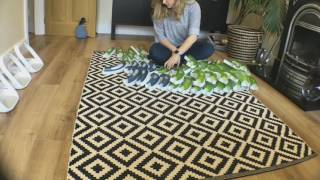 catit super circuit 2.0