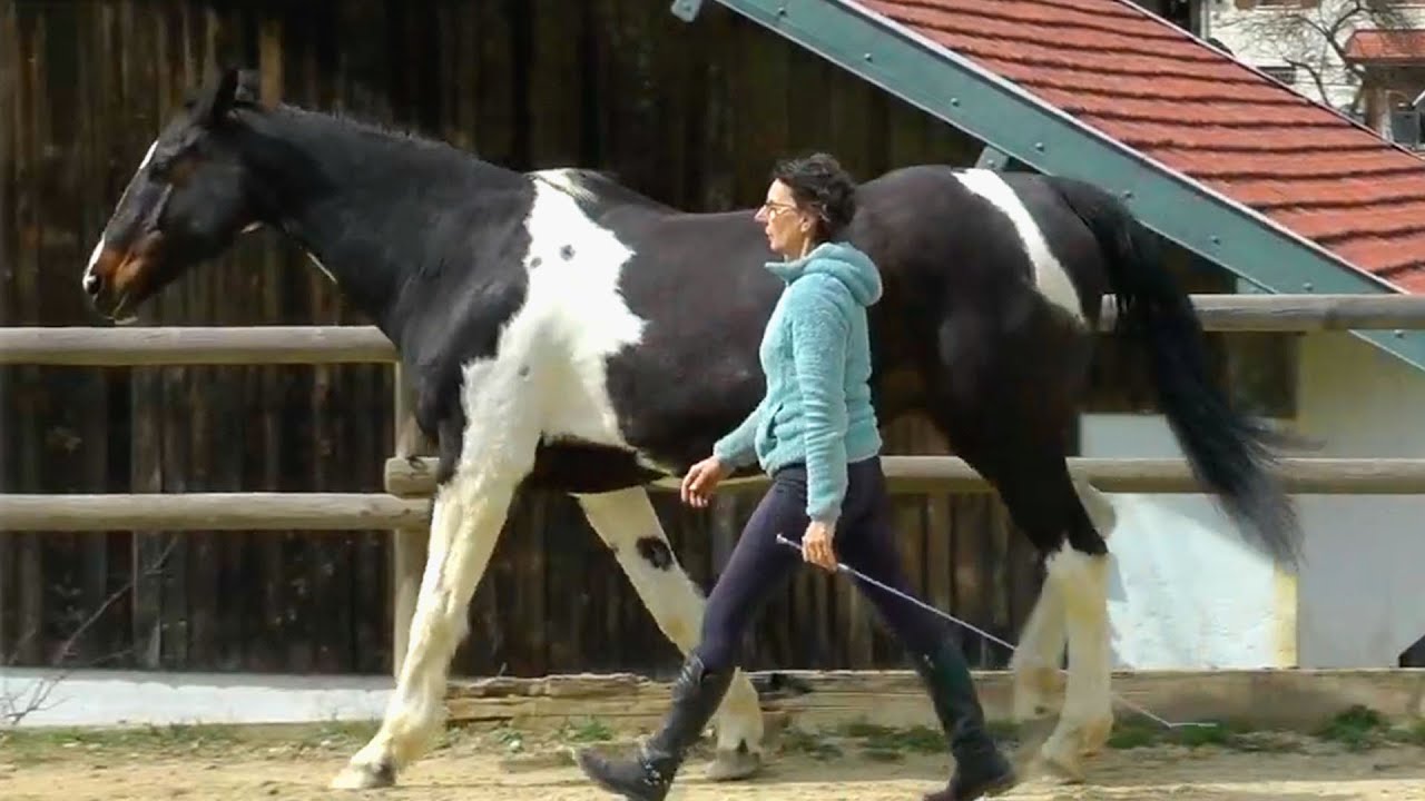 Marie-Jeanne (formation en ligne EQUUS+ 2021 et formation PRO 2022 2ème année)