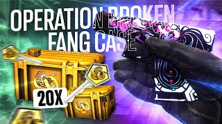 Opening The Operation Broken Fang Case! CSGO Case Unboxing