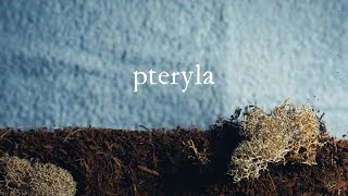 Novo Amor 565 Fund - 'Pteryla' By Novo Amor & Lowswimmer . Film By Robert Pereña