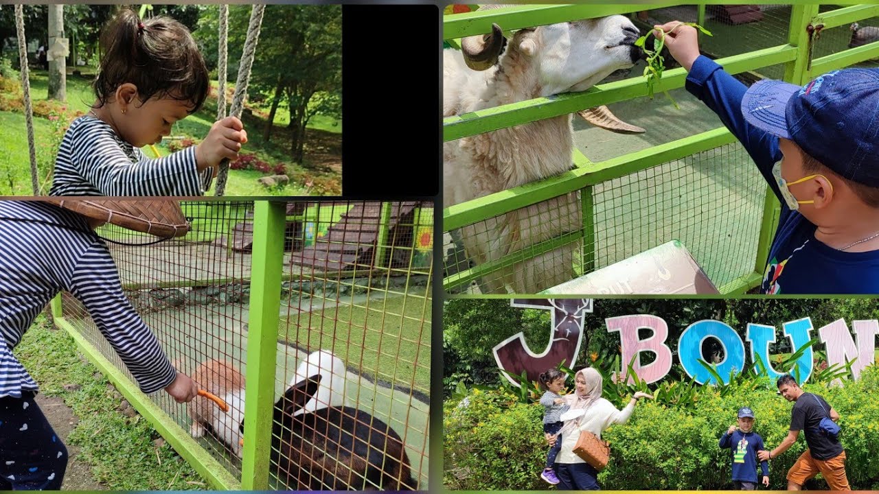 Jbound Berwisata sambil belajar di JBOUND Kota Bogor - YouTube