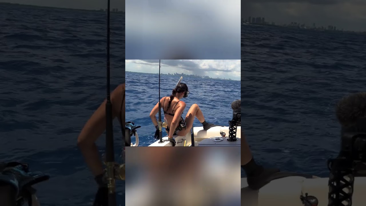 Uploads from Lauren Sarasua