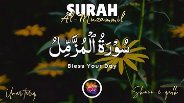 Surah Al-Muzammil - Abdul Rahman Mossad سورة المزمل عبدالرحمن مسعد Surah Muzammil