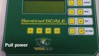 Transferring Software Key In Sentinel Bird Scale