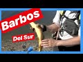 Barbos del Sur