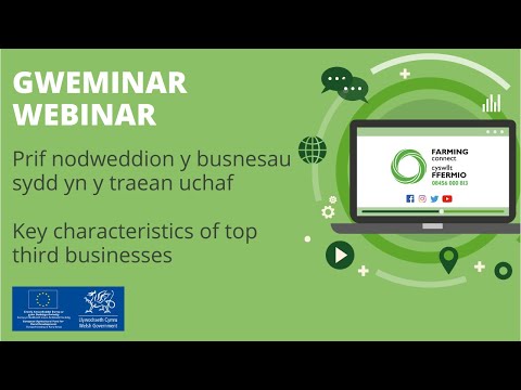 Prif nodweddion y busnesau sydd yn y traean uchaf / Key characteristics of top third businesses