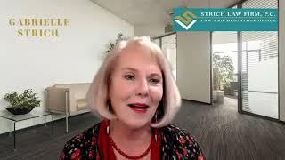 Gabrielle Strich What Is A Transactional Lawyer?