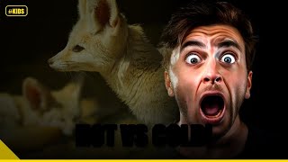 Extreme Earth Adventure! Hot vs. Cold! #Shorts