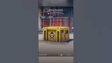 OPENING 1 CASE EVERY DAY UNTIL I GET GLOVES day 95