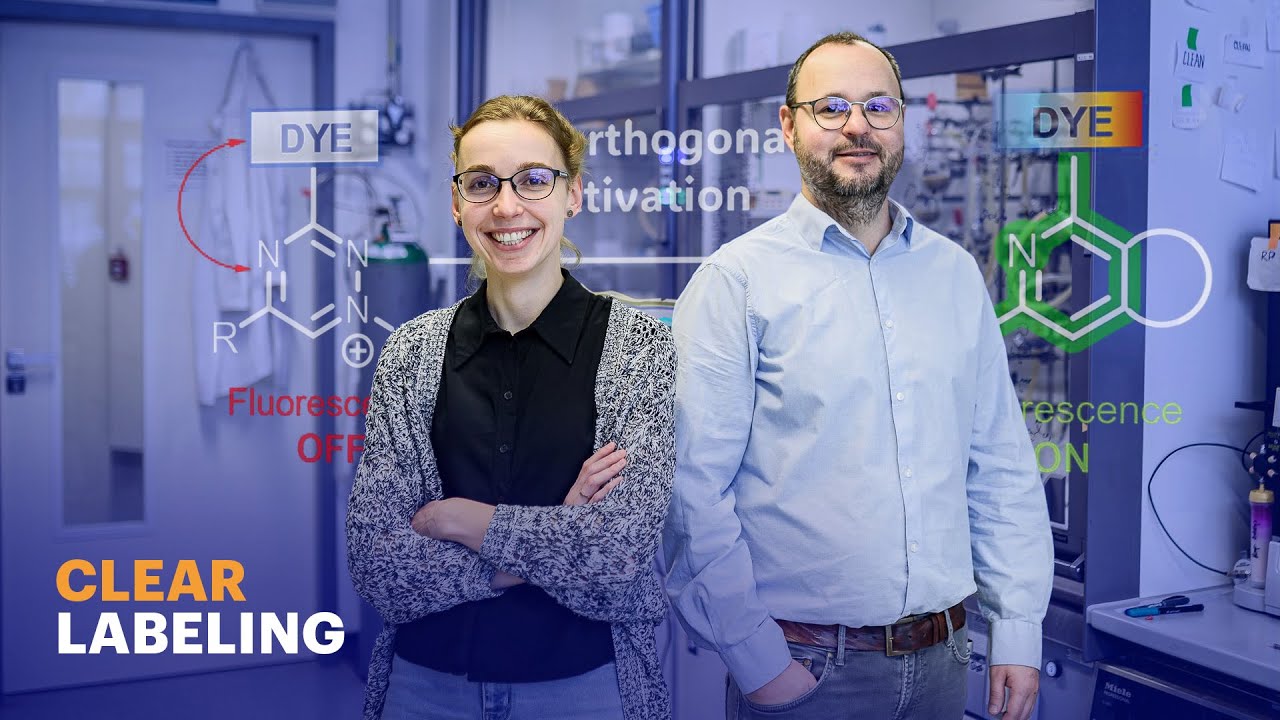 New labels from IOCB Prague allow scientists to see cellular processes more clearly