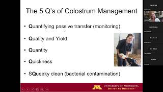 Advances in Colostrum Management For Dairy Farms