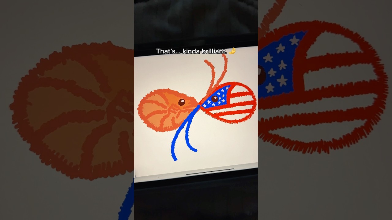 Patriotic shrimp 🇺🇸🦐 