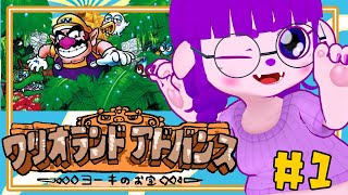 【ワリオランドアドバンス ヨーキのお宝 #1】億万長者になるぞ～～～い！！【#ゲーミングハリネズミ】