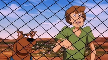 Finding Denno - Your son Chico